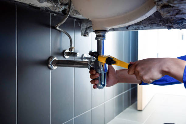 Best 24/7 Emergency Plumbing Services  in Trenton, TN